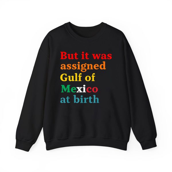 But It Was Assigned Gulf of Mexico at Birth Shirt 3