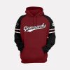 Gamecocks Softball 2025 Hoodie 2