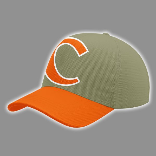 Clemson Baseball Military Appreciation Hoodie 2025 2