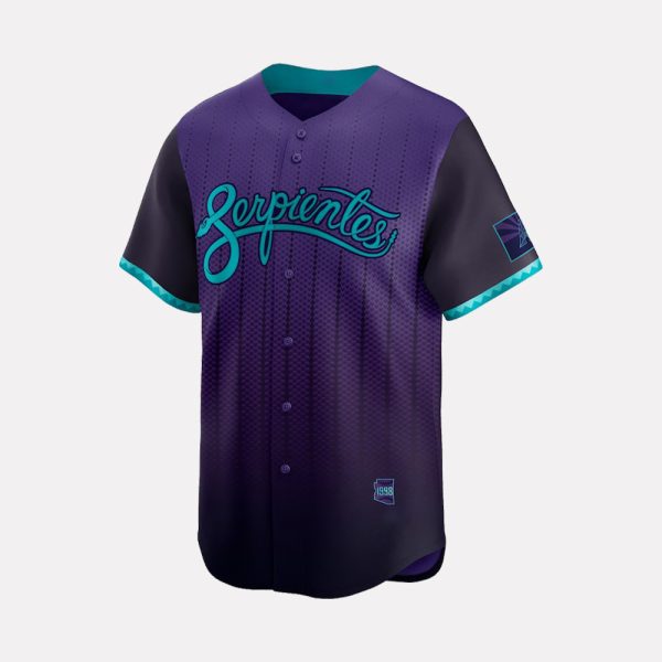 D backs City Connect 2025 Jersey