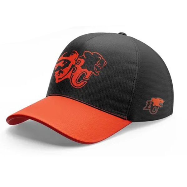 Lions 2025 Snoop Dogg Concert Kickoff Hat 3