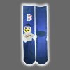 2025 Brooklyn Cyclones Sandy The Seagull Socks Giveaway