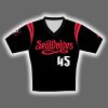 2025 Erie SeaWolves On Field Game Howling Dead Jersey Giveaway