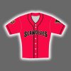 2025 Erie SeaWolves On Field Game Jersey Giveaway