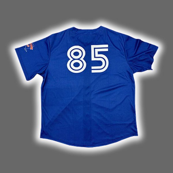 2025 Syracuse Mets Wall of Fame Day Jersey Giveaway 3