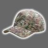 2026 Lions 250 Years America Hat