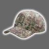 2026 Tigers 250 Years America Hat