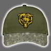 Bears US ARMY 250th Birthday Celebration 2025 Jersey 2