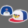 2025 Cubs National Hot Dog Month Cap Giveaway