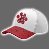2025 Red Sox x Cat Day Jersey 2
