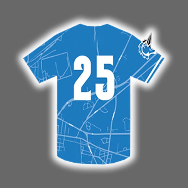 2025 Woodpeckers Fayetteville City Connect Replica Jersey Giveaway 3