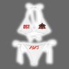 Delta Sigma Theta 1913 Triangle Bikini Swimsuit 3