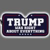 Trump Was Right About Everything Sunshade Pad