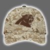 Panthers 2025 United State Mine Corps 250th Anniversary Hoodie Joggers Cap 3