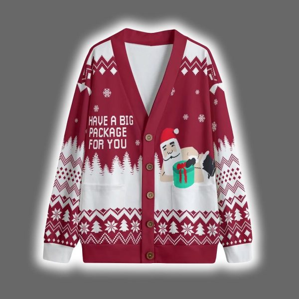 I Have A Big Package For You Christmas Cardigan 3
