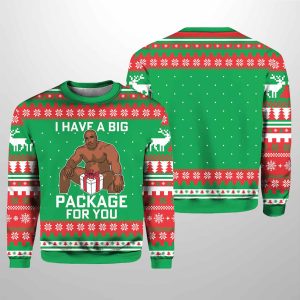 I Have A Big Package For You Christmas Sweater