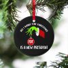 FDT All I Want for Christmas Is A New President Christmas Ornament 2