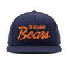 Clark Griswold Bears Hat (2)