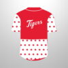 2026 Tigers Canadian Heritage Jersey Giveaway 3