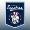 2026 Harrisburg Senators Pennant Banner Giveaway 2