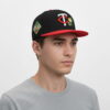 Twins 2026 Spring Training Hat 2