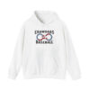 2026 Hickory Crawdads Autism Acceptance Night Shirt Giveaway 3