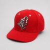2026 Rocket City Trash Pandas Alabama White Sauce Hat (1)